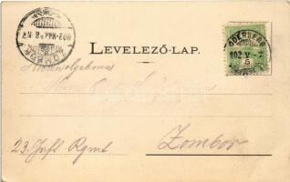 1902 Losonc, Lucenec; Sugár út, Városi vigadó és szálló, üzlet / street view, hotel, shop (EK)