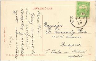 1914 Korpona, Krupina; Városháza, Iparosok Önképző Egylete, sörcsarnok, piac. W.L. Bp. 4771. Reviczk...