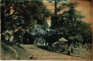 1915 Szliács, Sliac; Rózsaliget, kertészek / Rosenhügel / rose garden, gardeners (Rb)