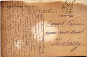 1915 Szliács, Sliac; Rózsaliget, kertészek / Rosenhügel / rose garden, gardeners (Rb)