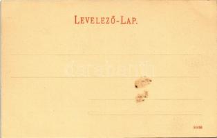 Koritnyica, Korytnica; Hygiea fürdő szálloda. Kohn A. kiadása / spa, hotel, villa