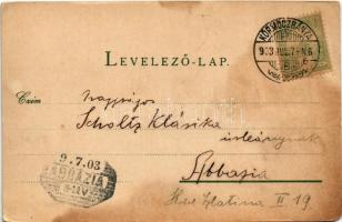 1903 Körmöcbánya, Kremnitz, Kremnica; Városi iskolák, M. kir. állami főreáltanoda, látkép. Paxner J....