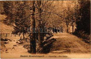 1908 Körmöcbánya, Kremnitz, Kremnica; Zólyomvölgy, Anna kápolna. Ritter Lipót J. kiadása / valley, road, chapel (EB)