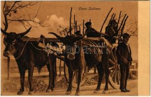 Carro Siciliano / Italian folklore, ox cart from Sicily