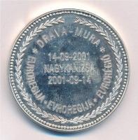 2001. "2001. naptárérem / Drava-Mura Eurorégió, 2001.09.14. Nagykanizsa" ezüstözött Br eml...