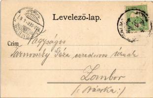 1902 Vinga, Üdvözlet Vingáról. Erdélyi népviselet, folklór / Greetings from Vinga! Transylvanian fol...