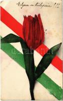 1906 Hazafias művészlap tulipánnal és magyar zászlóval / Hungarian patriotic propaganda with tulip and Hungarian flag (EB)