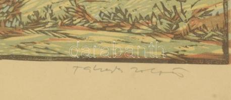 Takács Zoltán (1940-): Tihany. Linómetszet, papír, jelzett, számozott (89/100). Üvegezett, sérült ke...