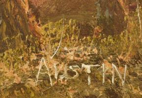 Austin jelzéssel: Vízparti táj. Olaj. vászon. Dekoratív fakeretben. 50x60 cm