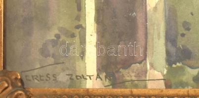 Veress Zoltán (1868-1935): Budapest, Nyék, vörös fenyők. Akvarell, papír, jelzett. Dekoratív, sérült...