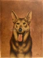 Végh jelzéssel: Németjuhász kutya. Olaj, vászon. 70x53 cm