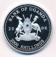 Uganda 2006. 2000Sh Ag "A labdarúgás halhatatlanjainak csarnoka - Franciaország 1990-es évek / ...