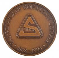 1993. "Salgó-Tarjáni Vasfinomító Társulat / Salgótarjáni Kohászati Üzemek 1868-1993" emlék...