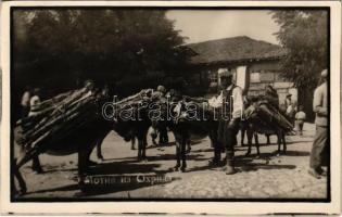 Ohrid, street view with timber transporting donkeys