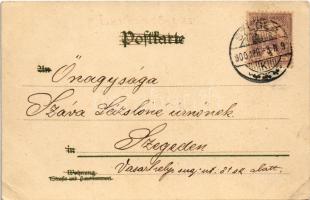 1900 Raphael Urbino / Raffaello Sanzio da Urbino. Italian Renaissance painter and architect. Lith. D...