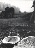 Csák Miklós (1933-2013): Teknővájó cigányok. 5 db fotó, jelzés nélkül, 40x30 cm