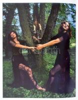 Markovics Ferenc: Rögzítő Show. DEDIKÁLT! Bp., 2011., Szerzői. Gazdag képanyaggal illusztrált. Kiadó...