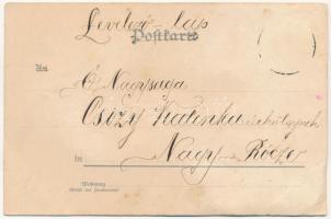 Decorated lady art postcard. litho (EB)