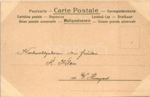 1900 Children art postcard, fairy. litho