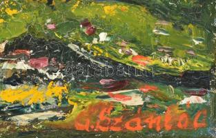 G. Szántó András (?-2002): Ság-hegy. Olaj, vászon, jelzett, kissé sérült. Dekoratív, kissé sérült fa...