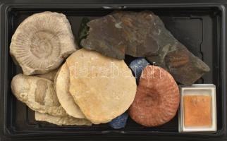 Vegyes fosszíliák, 4 db Videós dobozban