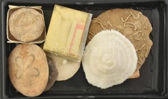 Vegyes fosszíliák, 4 db Videós dobozban