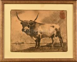 Zombory Lajos (1867-1933): Szürkemarha bika. Szén, papír, jelzett, kissé foltos. Üvegezett fakeretben, 15,5×20 cm