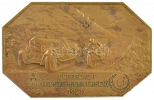 1935. K.A.C. (Kispesti Athletikai Club) Dobogókői I. Országos Hegyiverseny 1935 aranyozott bronz díjplakett BERÁN N / BUDAPEST DÖBRENTEI U. 2. gyártói jelzéssel (43x67mm) T:1- patina / Hungary 1935. K.A.C. (Athletic Club of Kispest) 1st National Mountain Race 1935 gilt bronze award plaque with BERÁN N / BUDAPEST DÖBRENTEI U. 2. makers mark (43x67mm) C:AU patina