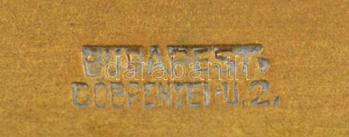 1935. "K.A.C. (Kispesti Athletikai Club) Dobogókői I. Országos Hegyiverseny 1935" aranyozo...