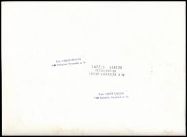 cca 1990 Vízilabda mérkőzés, sajtófotó, László Sándor felvétele, hátoldalán pecséttel jelzett, 18x24...