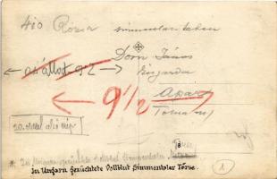 In Ungarn gezüchtete Vollblut Simmentaler / Magyarországon tenyésztett telivér Szimentáli szarvasmar...