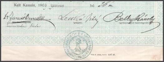 1909 Kassa, népiskolai tanítói oklevél Jancsó Benedek MTA levelező tag, Lesskó István igazgató, Belk...