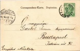 1905 Bosnyák muzulmán férfi ima közben / Bosnian muslim man praying + "K.u.k. Milit. Post. Bile...