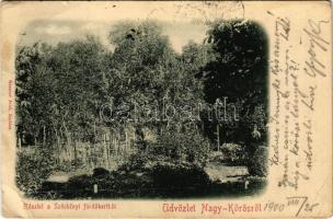 1900 Nagykőrös, Széchenyi fürdőkert. Geszner Jenő kiadása (EK)
