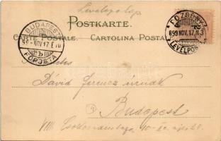 1899 (Vorläufer) Wiener Blut V. B & S Wien Serie No. 1042. Art Nouveau, litho s: Raphael Kirchne...