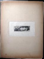 cca 1900 10 db nagyméretű dekoratív erotikus grafika