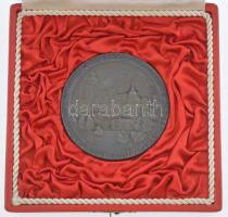 Tóth Gyula (1893-1970) 1959. "A Szakszervezeti Üdültetés 10-ik évfordulójára 1949-1959" Zn...