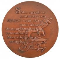 Bozó Gyula (1913-2004) 1995. "Dr. Béres József 75 éves" bronz emlékérem (42,5mm) T:1-