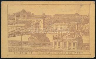 cca 1870 Nő népviseletben, keményhátú fotó Briwirth pesti műterméből, hátoldalon a Lánchíd látképéve...