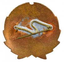 DN "A közoktatás kiváló dolgozója" zománcozott fém jelvény eredeti tokban (30x31mm) T:1-