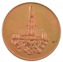 Lapis András (1942-) DN Kőolajkutató Vállalat - Pártmunkáért kétoldalas bronz emlékérem (42,5mm) T:1-