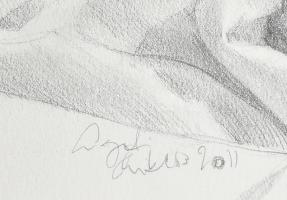 Ligeti Miklós (1982- ): Csendélet. Ceruza, papír, jelzett, 36x30 cm