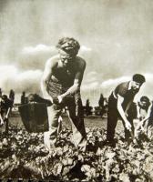 Kartonkép a háború utáni időszakból:  Mezőgazdasági főiskolás kollégisták, kartonra ragasztva (29 x 34cm)