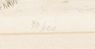 Blahos Rudolf (1917-1986): Balatonföldvár. Színezett rézkarc, papír, jelzett, számozott (70/100), pa...