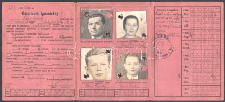 1946 Törökbálint, fényképes őstermelői igazolvány