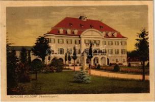 1916 Eichendorf, Schloss Adldorf / castle (fl)