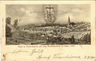 1901 Tann, Tann in Niederbayern mit dem Wallfahrstbild im Jahre 1696 (fl)