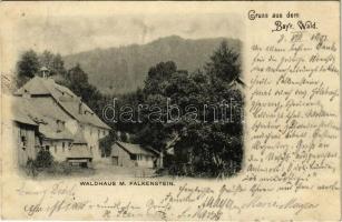 1901 Waldhaus m. Falkenstein (Bayerischer Wald) (fl)