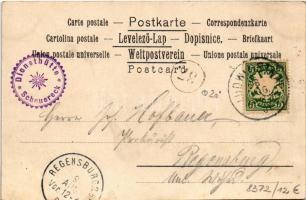 1901 Waldhaus m. Falkenstein (Bayerischer Wald) (fl)