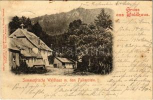 1900 Waldhaus mit dem Falkenstein (Bayerischer Wald) (fl)